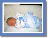 jake sleeping5 * 2592 x 1944 * (1.09MB)
